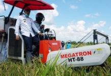 Ditengah Pandemi Covid 19, Lamsel Sukses Panen Raya Program Serasi