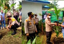 Kapolres Madina Tanam Pohon Kelapa Hybrida Dan Tabur Ikan Di Kampung Tangguh*