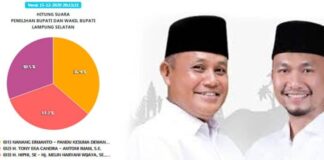 KPU Lamsel Tetapkan Paslon Nanang Pandu Pemenang