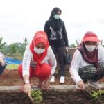 Winarni Nanang Ermanto Tanam Bunga Dikebun Edukasi Pemkab Lamsel