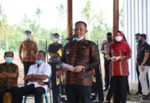 Tanam Perdana Pisang Barangan Merah, Nanang Berharap Jadi Komuditas Unggulan Lamsel