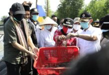 Berkunjung ke Tuba, Teten Masduki Dukung Program Pembangunan Gubernur Lampung