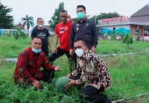 Kunker Ke Lamsel Anggota DPR RI Kunjungi Kebun Edukasi