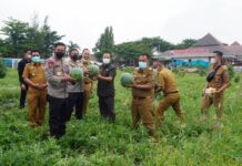 Kapolda Kunker Ke Lamsel, Bupati Ajak Kunjungi Kebun Edukasi