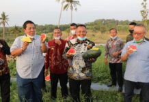 Gubernur Lampung Dukung Kebun Edukasi Lamsel