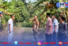 Anggota DPRD Lampung Selatan Tinjau Jalan Penghubung di Merakbelantung