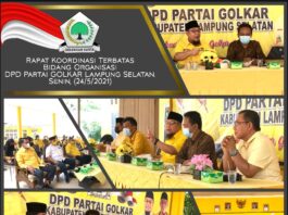 Golkar Lamsel Segera Gelar Muscam 10 Kecamatan, Tony Inginkan Segera Dituntaskan