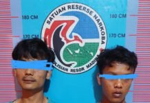 Kamal Dan Fahmi Tak Berkutik, Ketika Di Sergap Dan Diamankan Personil Sat Natkoba Polres Madina Sumut”