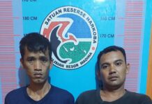 *”Dua Orang Bandar Sabu Di Lingga Bayu Desa Simpang Duriian Diamankan Sat Narkoba Polres Madina””*