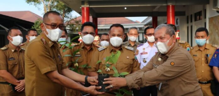 IMG-20220222-WA0036-864x380