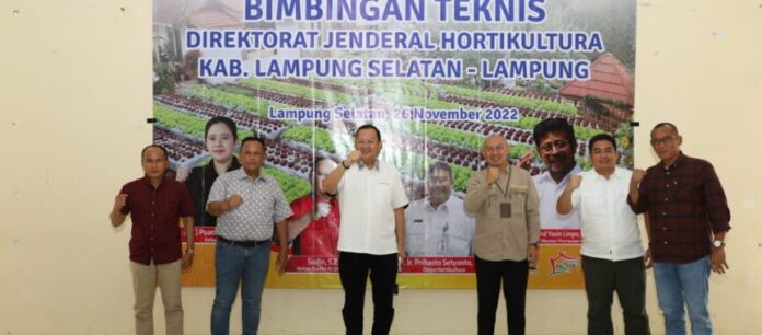 IMG-20221126-WA0006-864x380