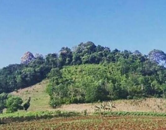 Sejarah Hutan Lindung Gunung Balak Lampung Timur