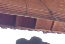 *Satrio Arismunandar: Gebrakan Mahfud MD Soal TPPU Rp 349 T Bisa Menjadi Gerakan Sosial dan Dorong Perubahan*