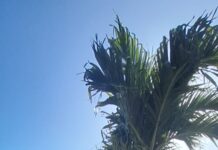 Satu Dari Tiga ASN Terduga Penipuan Tenaga Honorer Bersembunyi Tak Ingin Temui Media