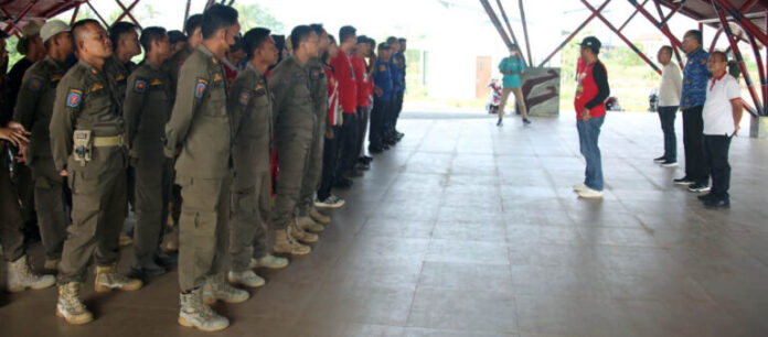 P2WLS-768x338