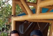 Berawal Dari Hobi, Kini Tiap Minggunya Mampu Panen Ikan Tiga Kwintal