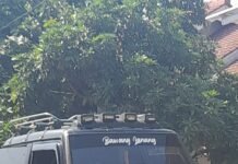 Pesisir Rajabasa Kini Tak Punya Pantai Lagi, Pedagang UMKM Banyak Gulung Tikar