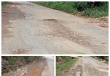 Proyek Dinas PUPR Pringsewu Seumur Jagung