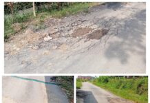 Buruknya Kualitas Pekerjaan Infrastruktur di Pringsewu Lampung Diduga Akibat Kurang Matangnya Perencanaan dan Kurangnya Pengawasan