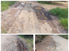 Proyek Infrastruktur Jalan Milik PUPR Pringsewu Hanya Buaian Sesaat