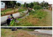 Dinas PSDA Provinsi Lampung diduga Mark Up Anggaran Pemeliharaan Jaringan Irigasi