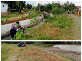 Dinas PSDA Provinsi Lampung diduga Mark Up Anggaran Pemeliharaan Jaringan Irigasi