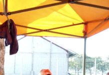 Obyek Wisata Pantai di Lamsel Secara Merata Per Minggunya Lebih Dari Ribuan Pengunjung