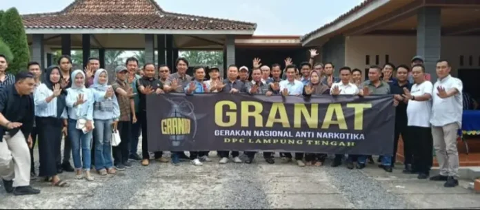 IMG-20241215-WA0061-768x336