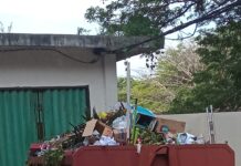 Buset….!!!, Terkesan Jorok Tumpukan Sampah Terjadi Di Lingkup Perkantoran Pemkab Lamsel