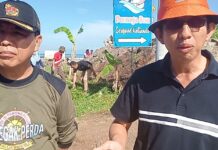 Peringati Peduli Sampah Nasional, DLH, Pariwisata, Pol PP Bersih bersih Sampah di Dermaga Bom Kalianda