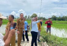 Serap Aspirasi Masyarakat Keluhan Warga