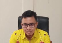 Kerja 100 Hari Bupati Lampung Selatan, Dinas Perikanan Unggulkan Budidaya Udang Vannami Lahan Pekarangan Rumah Warga