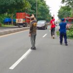 Berikan Kenyamanan Pengendara, Sat Pol PP Pemkab Lamsel Tebang Ranting Pohon Tepi Jalan Transumatra