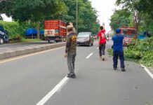 Berikan Kenyamanan Pengendara, Sat Pol PP Pemkab Lamsel Tebang Ranting Pohon Tepi Jalan Transumatra