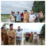 Wakil Bupati Lampung Selatan M Saiful Bersama Ketua Komisi C tinjau tanggul jebol