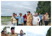 Wakil Bupati Lampung Selatan M Saiful Bersama Ketua Komisi C tinjau tanggul jebol