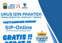 Luncurkan Aplikasi SIP-Online, Inovasi DPMPTSP Dukung Program Kerja 100 Hari Bupati Egi Layani Izin Praktek Nakes