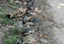 Diduga Kuat Adanya Kong Kalingkong Dalam Pengerjaan Jalan Usaha Tani di Ketapang