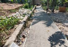 Mudah Hancur, Dipastikan Rabat Beton Kelurahan Bumi Agung Berkualitas Mutu Rendah