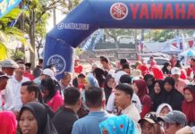 Meriah! Ribuan Warga Ikuti Jalan Sehat HUT ke-80 RI di Way Urang, Promosikan Wisata Lokal dan UMKM