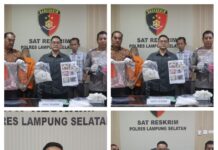 Polisi Tangkap Pelaku Pemerkosaan Anak di Kalianda, Satu Buron Masih Diburu