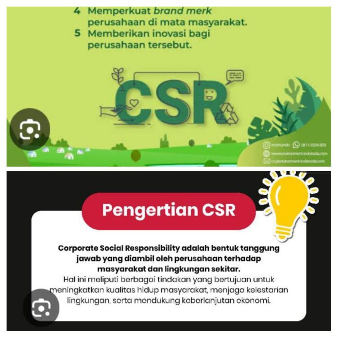 IMG_20251129_132155-COLLAGE