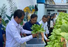 Pakcoy Menghijau, Harapan Bertumbuh — Lapas Kalianda Panen Hasil Pembinaan