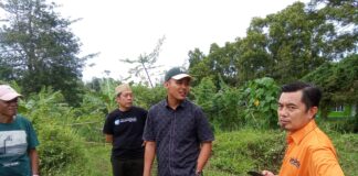 Dikomandoi Ketua Golkar Hanan A Razak, Diawali Peduli Lingkungan “Gerakan Lampung Menanam” (Gelam), Partai Golkar Lamsel Pastikan Gelar Musda