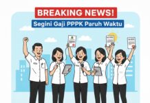 BREAKING!Segini Skema Gajih PPPK Paruh Waktu di Lampung Selatan