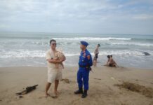 Polisi Imbau Wisatawan Waspada Arus Laut Saat Libur Lebaran di Pantai Lampung Selatan*