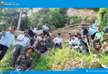 Longsor Gunung Rajabasa: Bupati Egi Naik 3 Km, Tanam Pohon Cegah Bencana Susulan