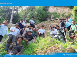 Longsor Gunung Rajabasa: Bupati Egi Naik 3 Km, Tanam Pohon Cegah Bencana Susulan