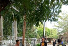 Dukung Program Helau ASN dan P3K Lakukan Aksi Bersih-bersih