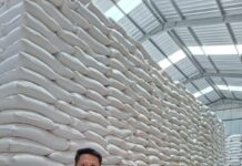 Bulog Lamsel Pasikan Aman dan Lancar, Rencanakan Tiap Tahun Potong Hewan Kurban Hari Raya Idul Adha